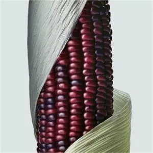 Aveda Botanical Repair Strengthening Conditioner 200ml
